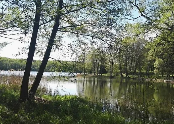 Im Park מלון סורקביטי