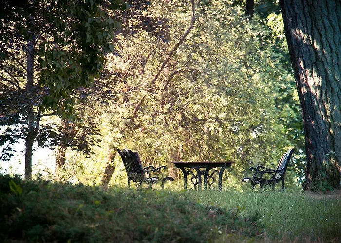 Im Park סורקביטי